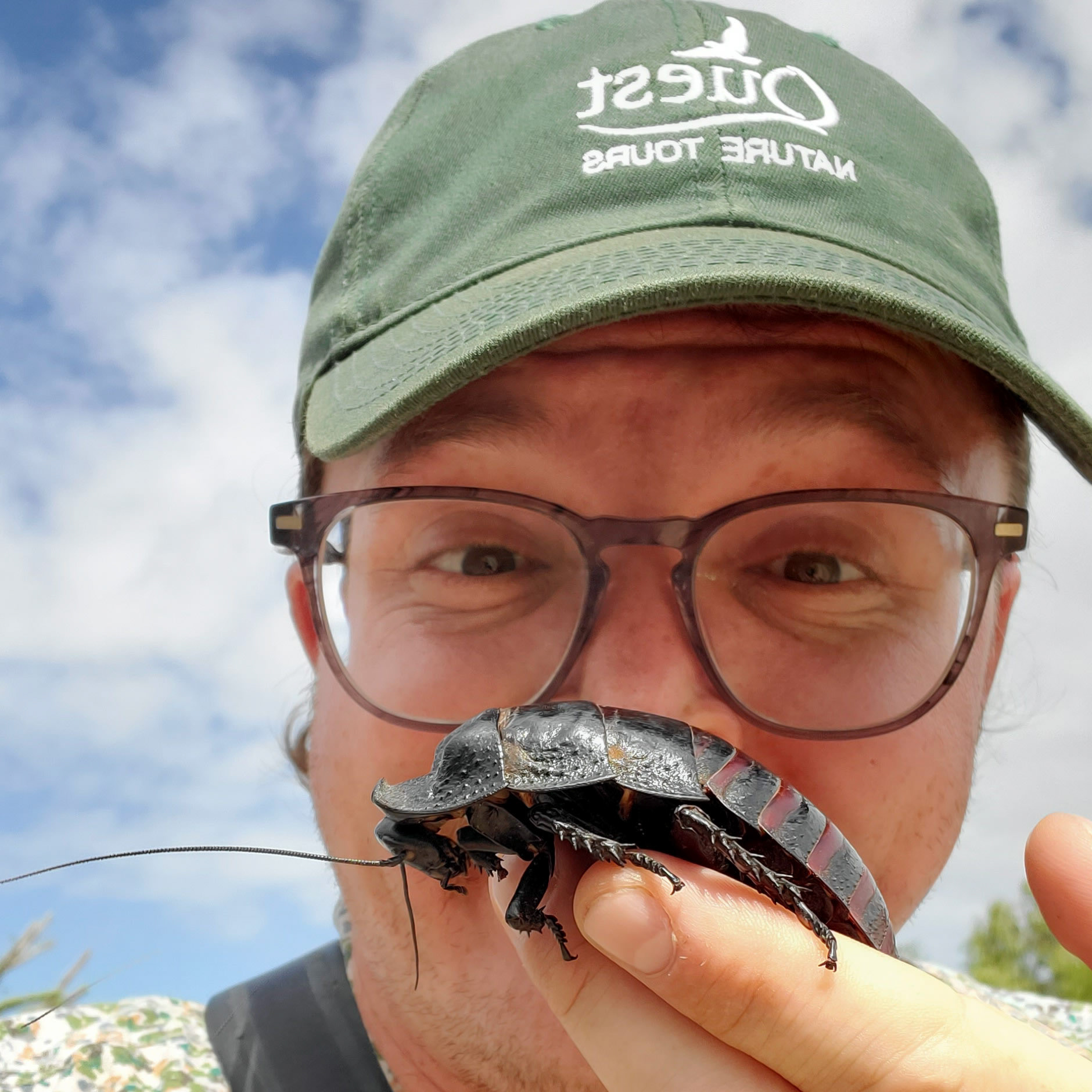 Don't fret, these giants prefer natural habitat and aren't considered pests. This one is from the tribe Gromphadorhini, know famously as the hissing cockroaches. 