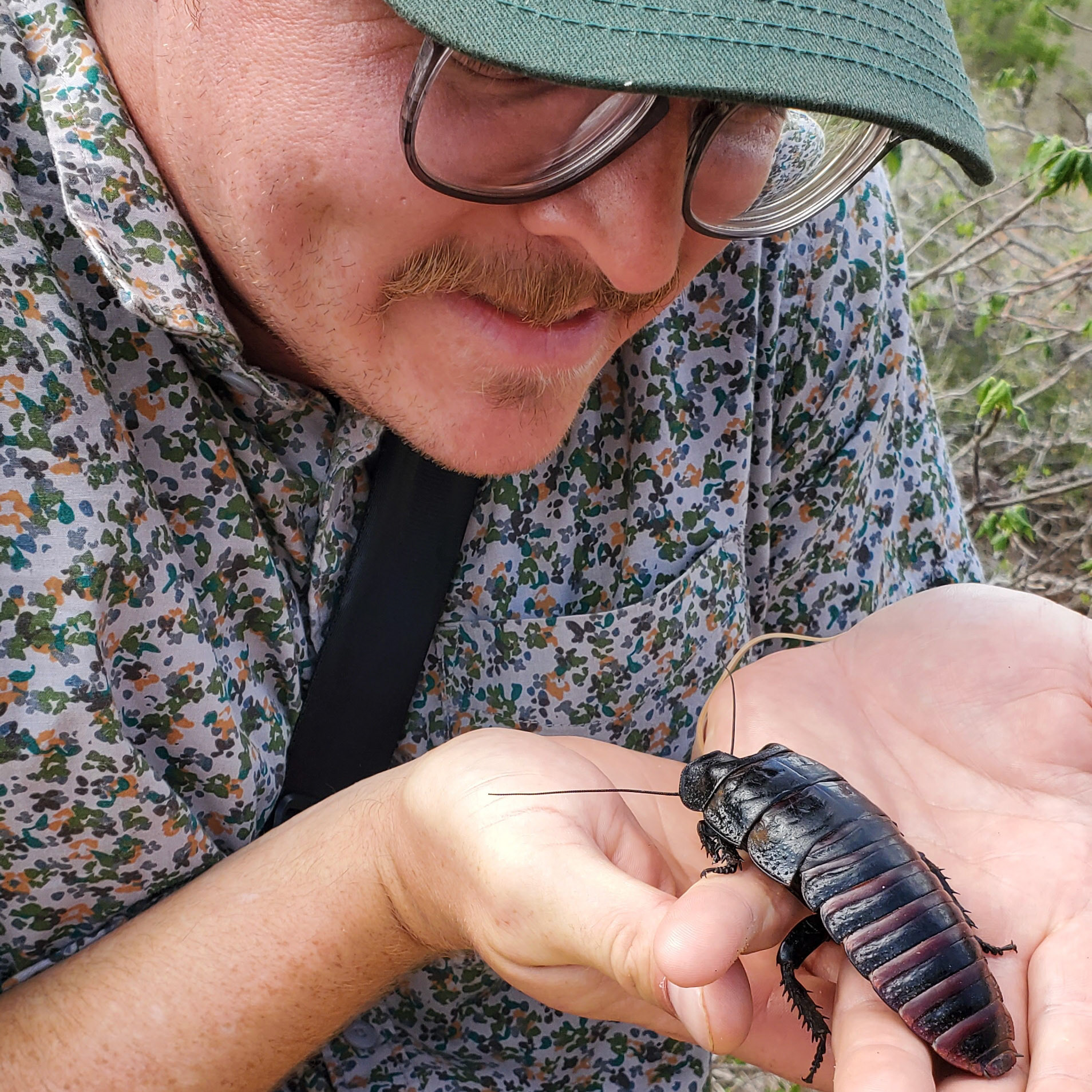 Just a boy admiring his cockroach