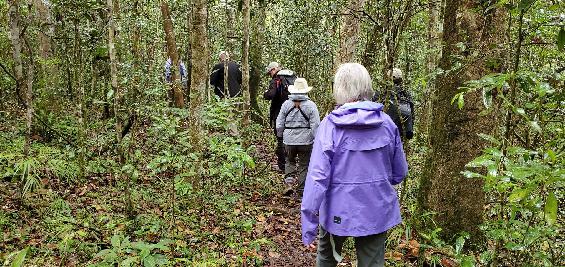 While driving over 50km/h, our guides heard or saw something near the road that they knew our group would want to see.  