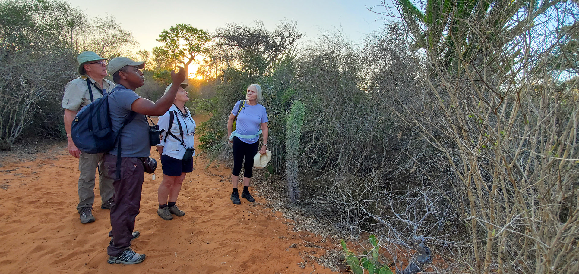Admiring the unique flora of the Dr. Seussian Ifaty Spiny Forest