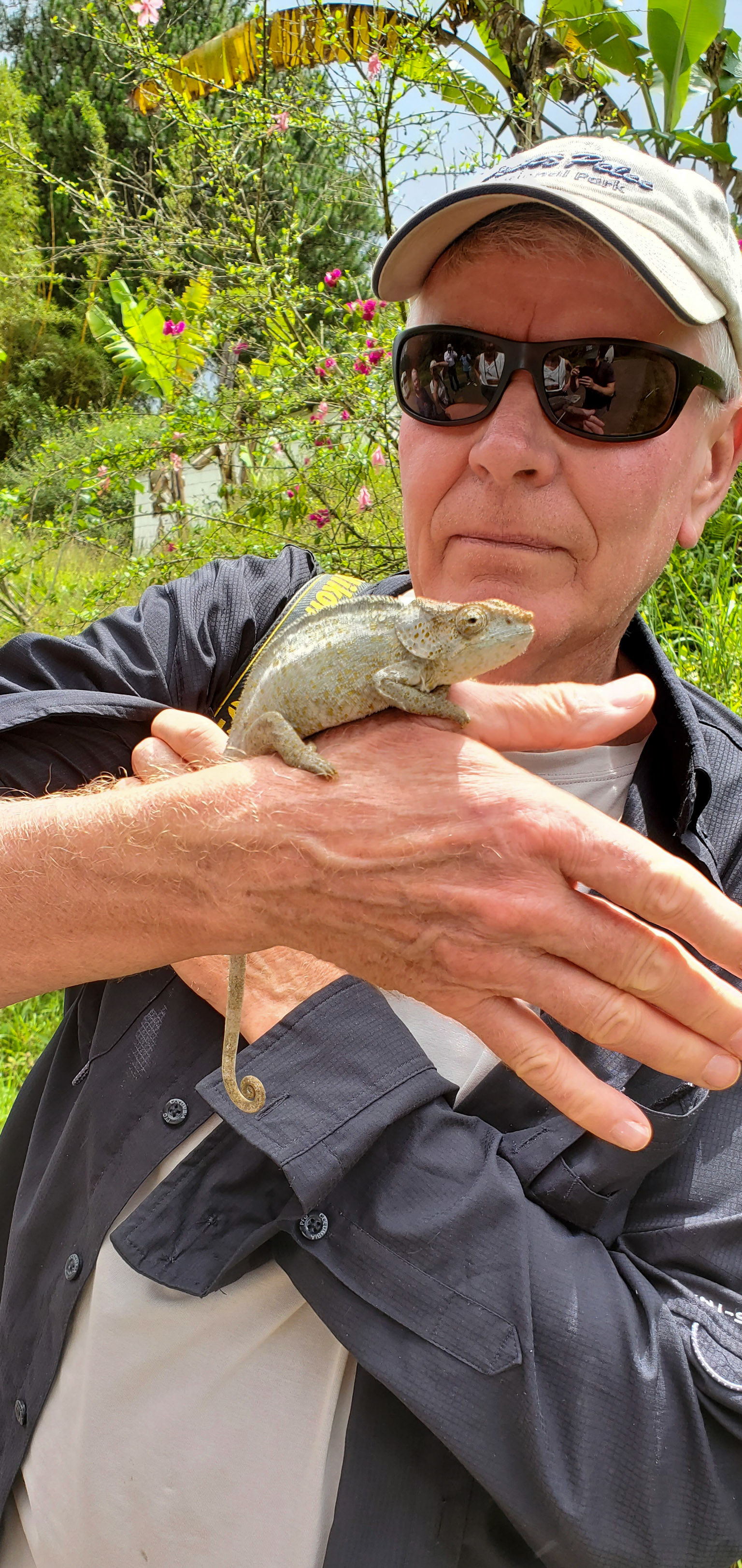 This Short-horned Chameleon (Calumma brevicorne) was quite cooperative and didn't take long to establish us as a non-threat. 