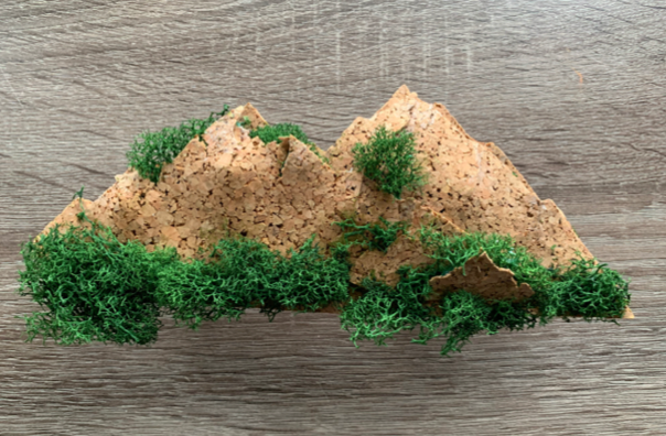 Concept model