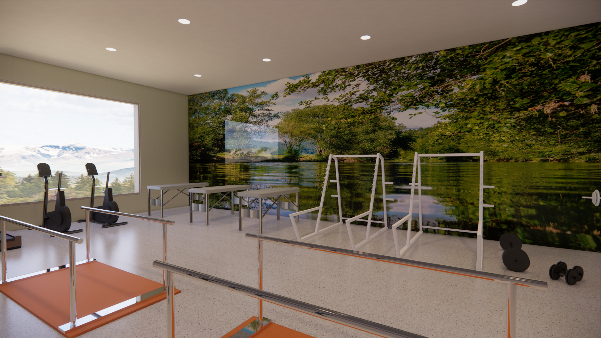 Physical Therapy Gym
