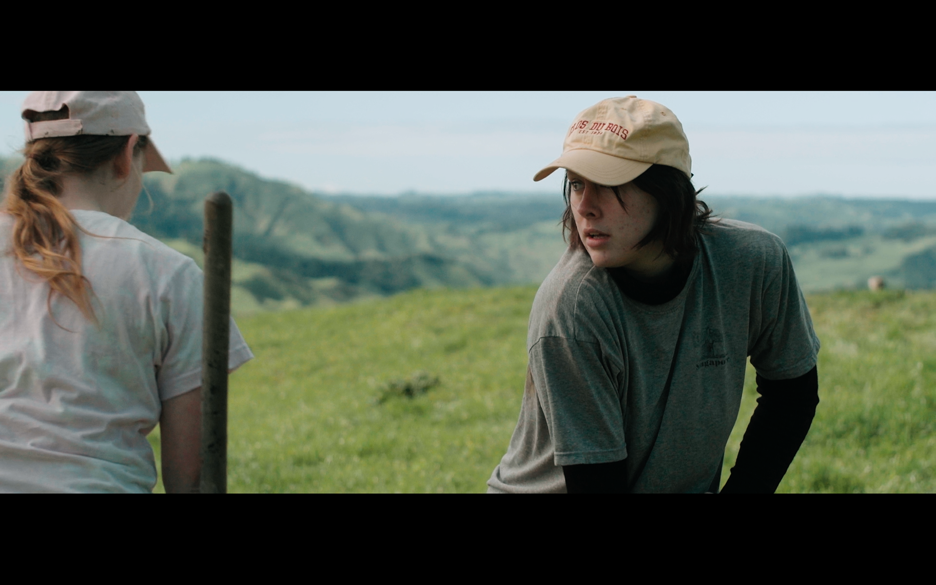 DOP season of the plum