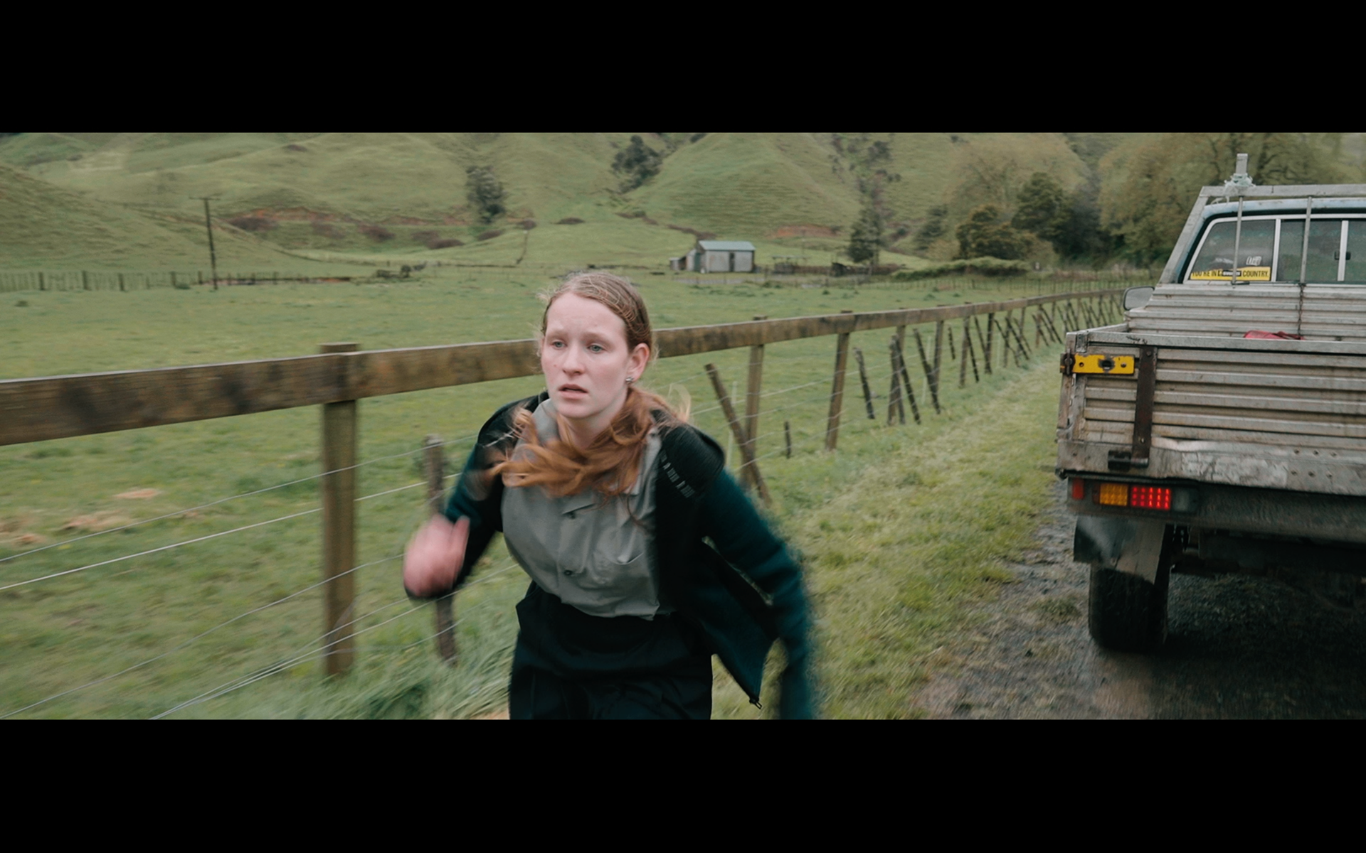 DOP season of the plum