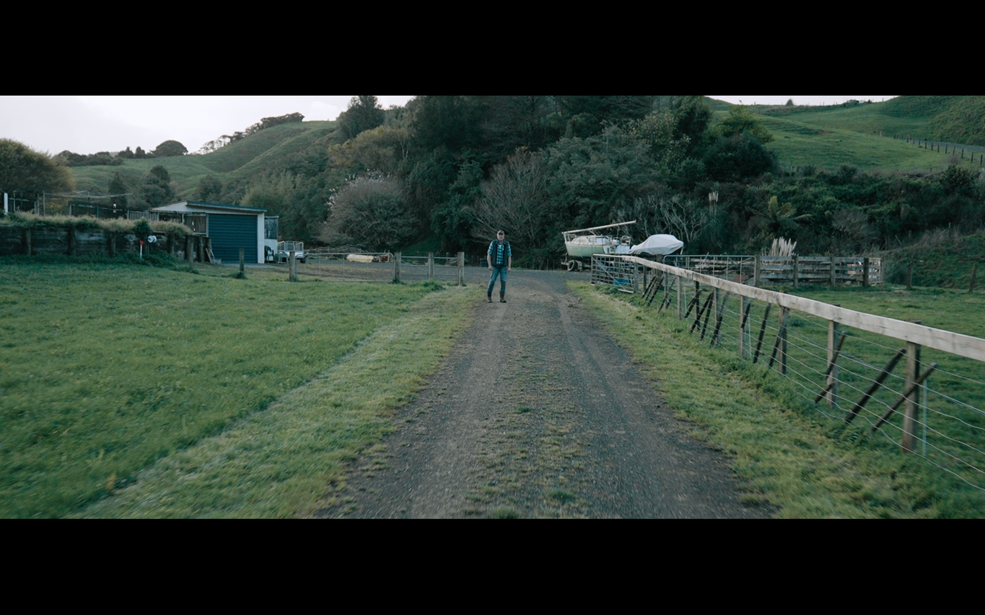 DOP season of the plum