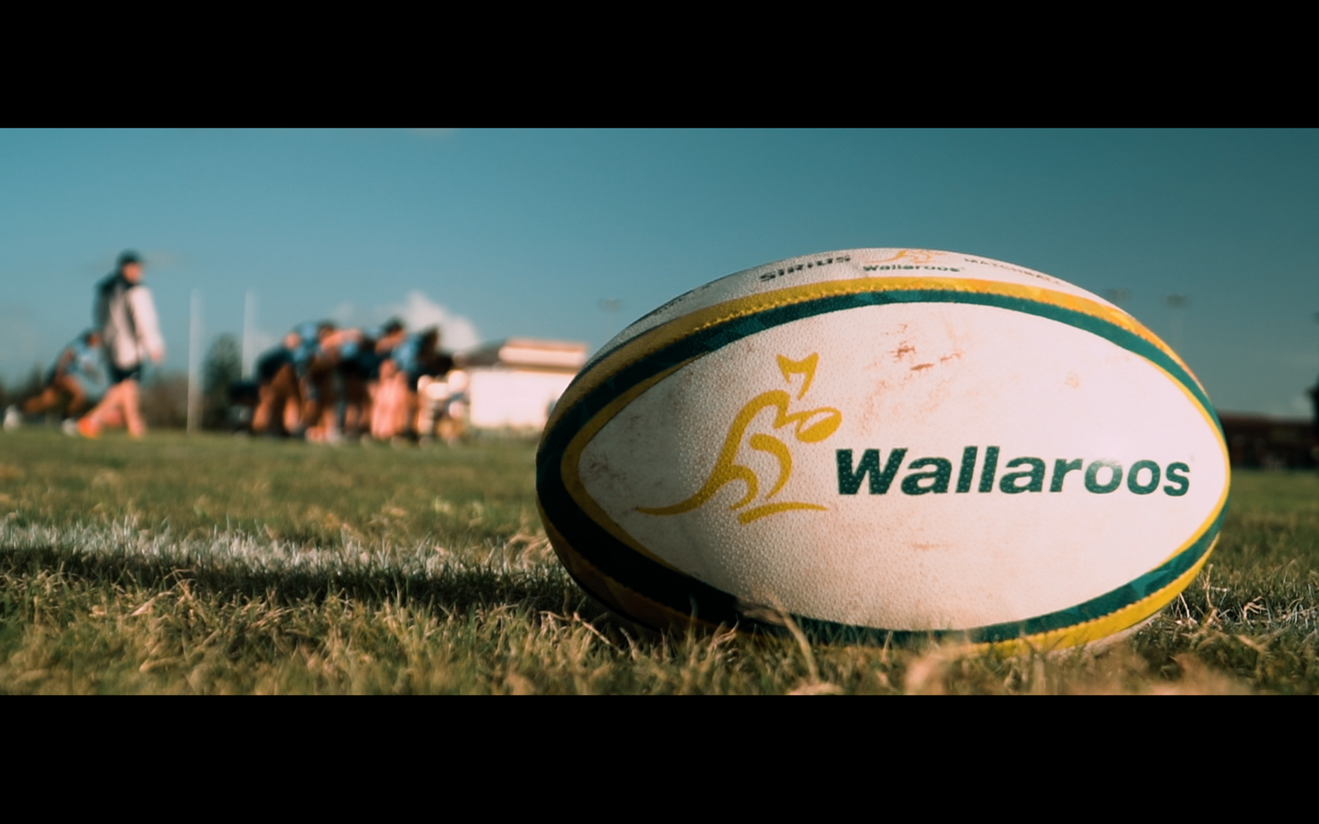 Wallaroos social content