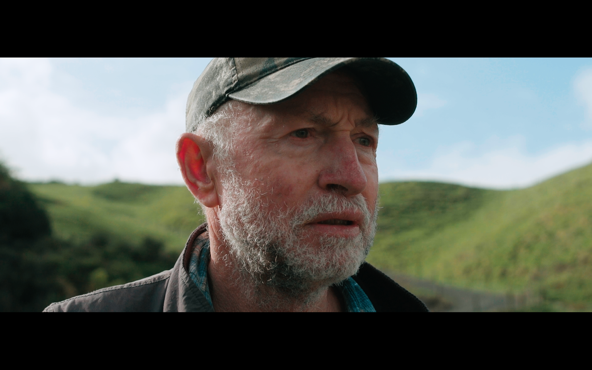 DOP season of the plum