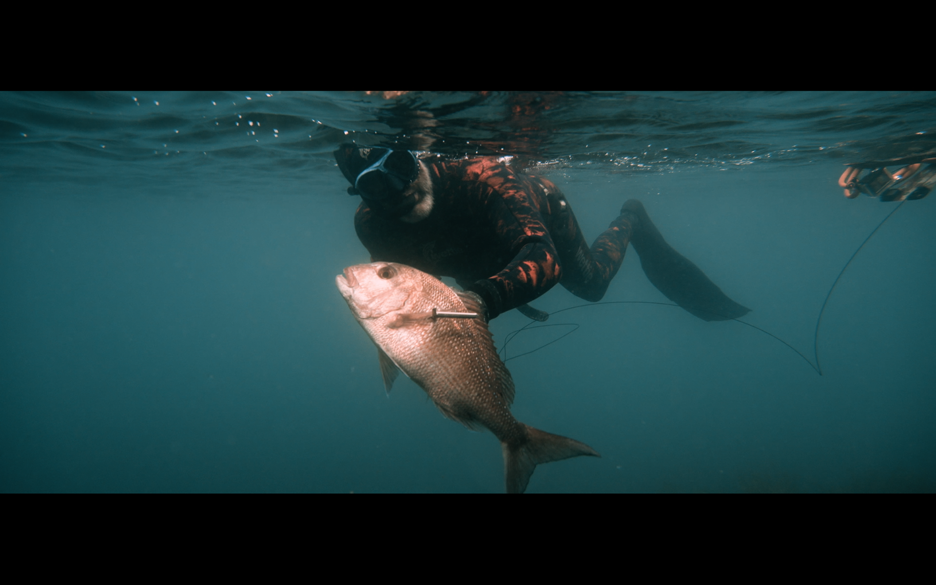 Wettie underwater footage