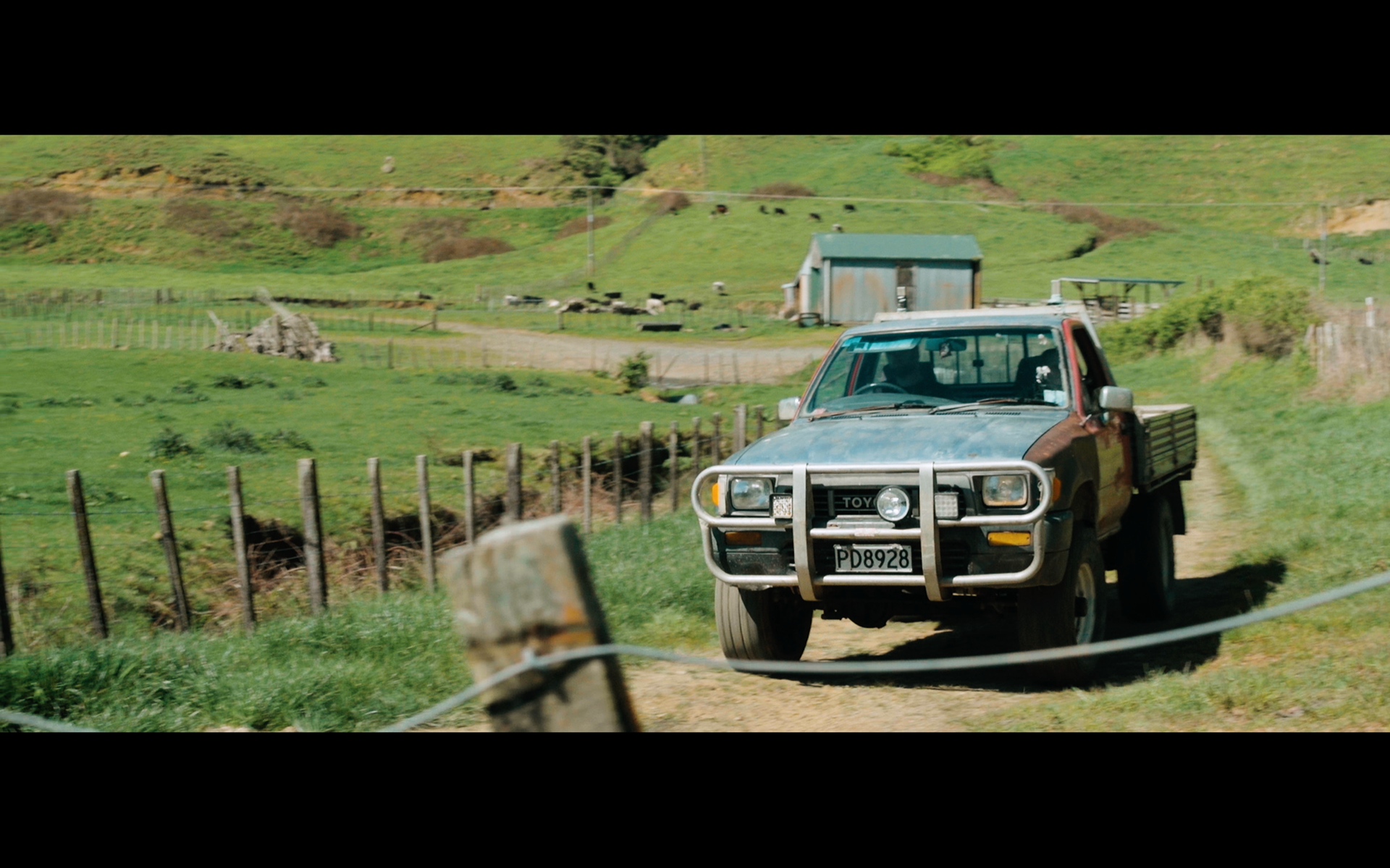 DOP season of the plum