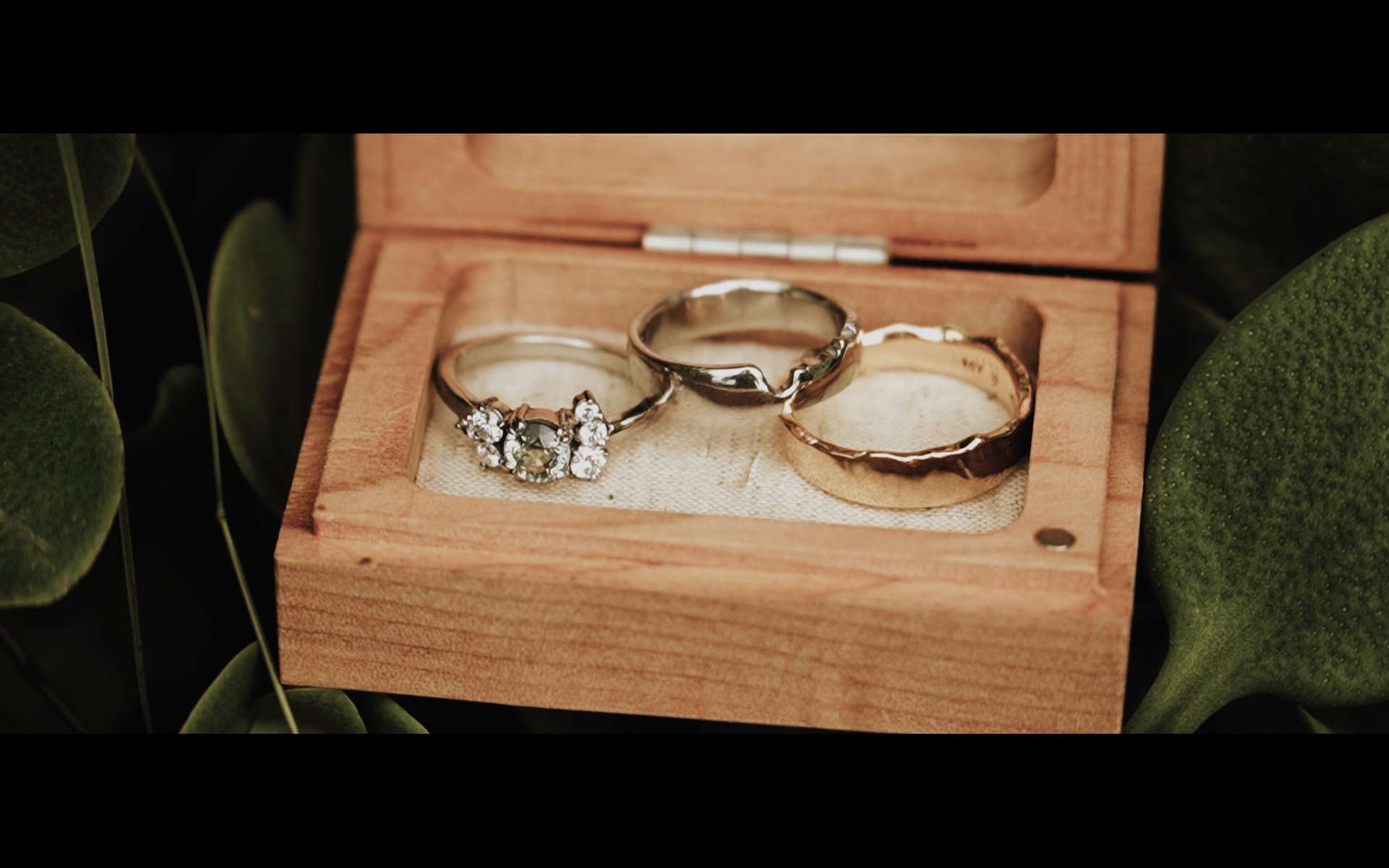 Bay of islands wedding film