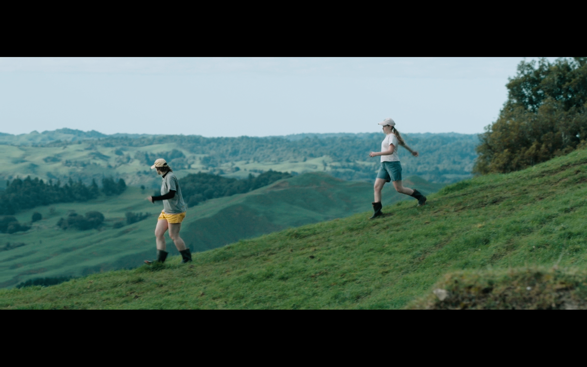 DOP season of the plum