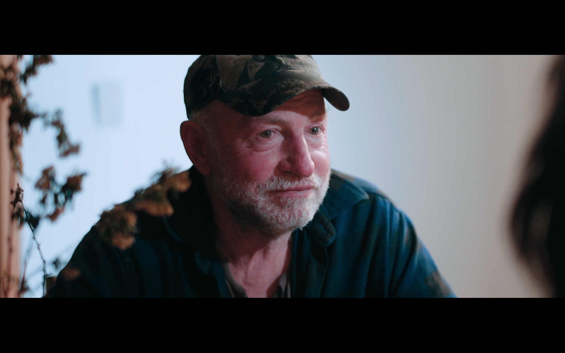 DOP season of the plum