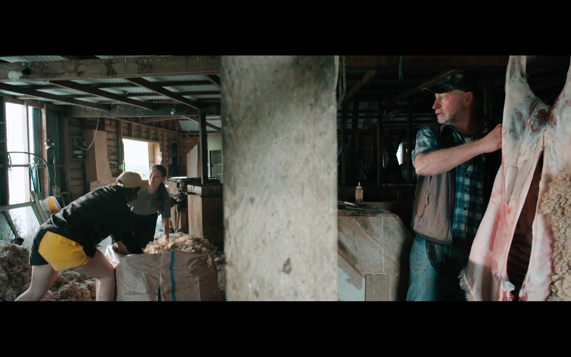 DOP season of the plum