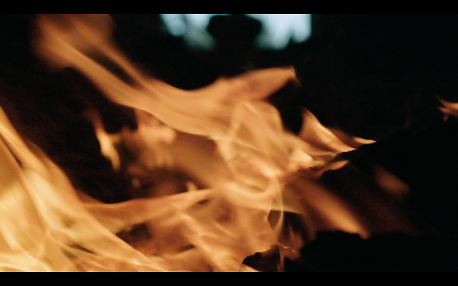 Director + camera op forging a future