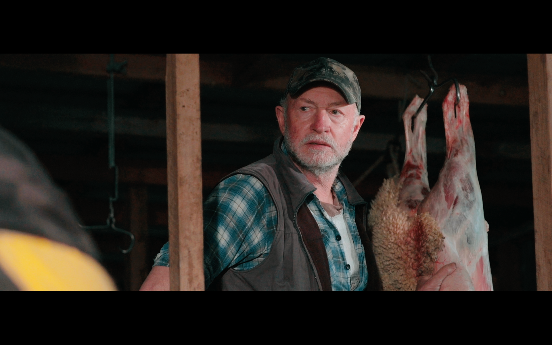 DOP season of the plum