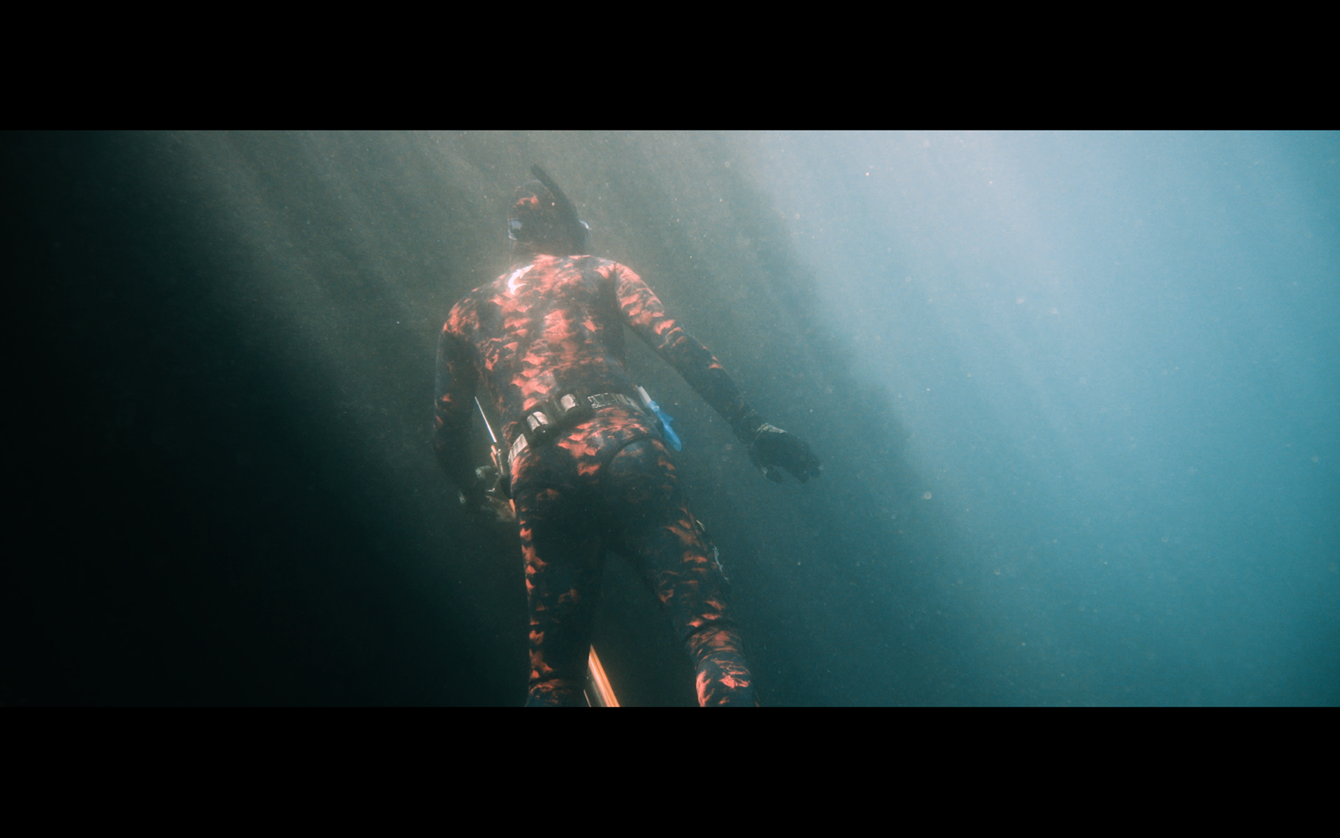 Wettie underwater footage