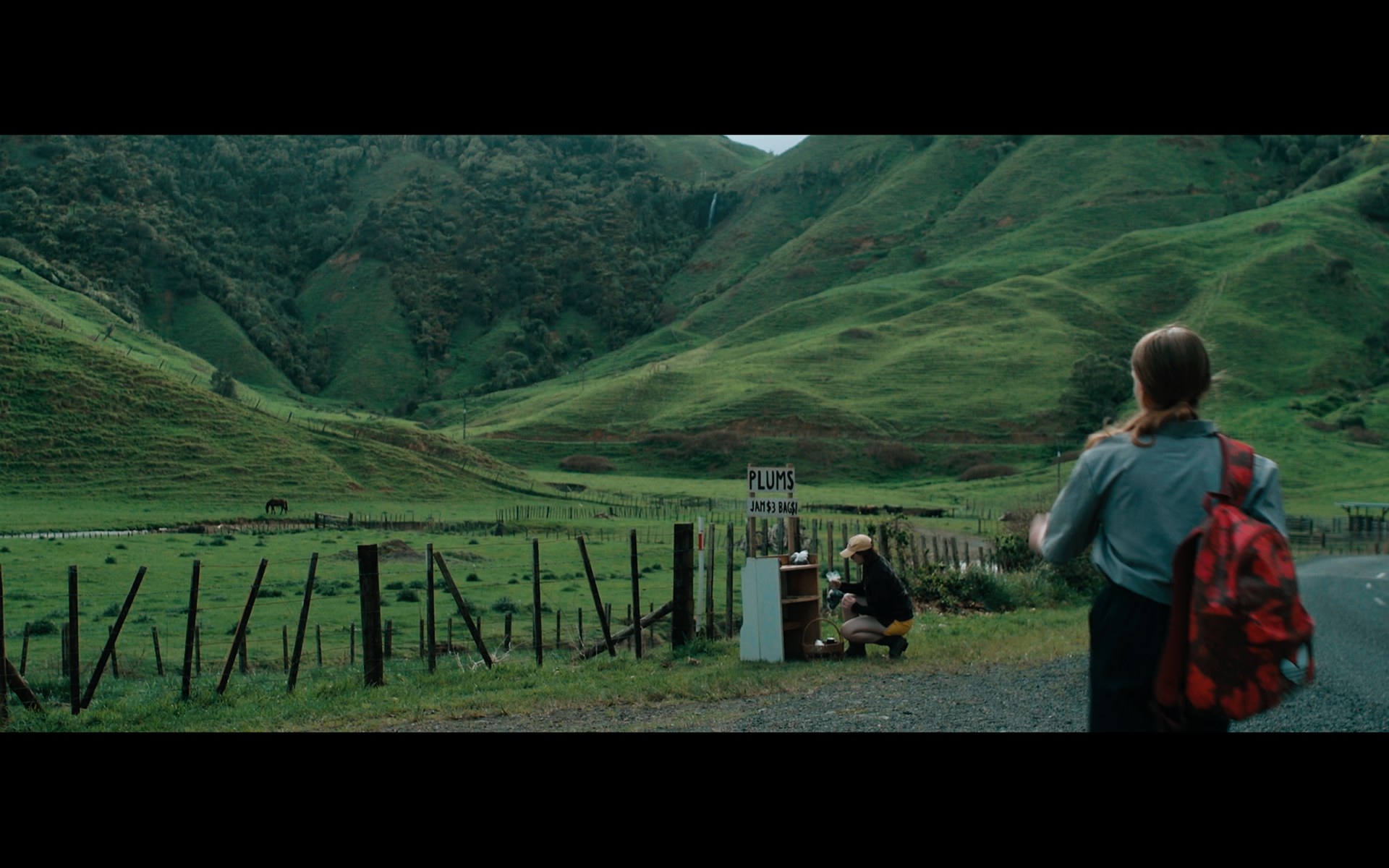 DOP season of the plum