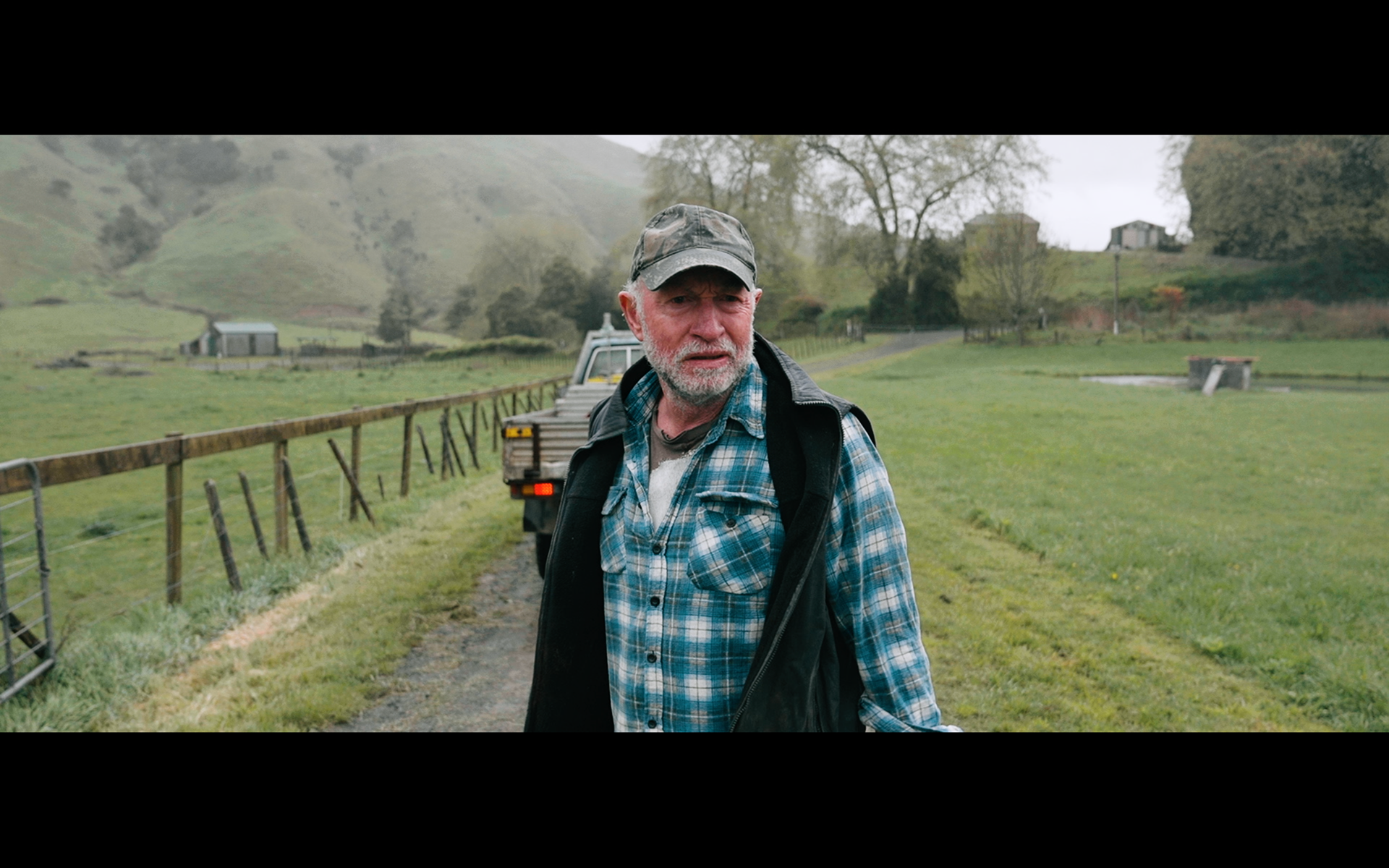 DOP season of the plum