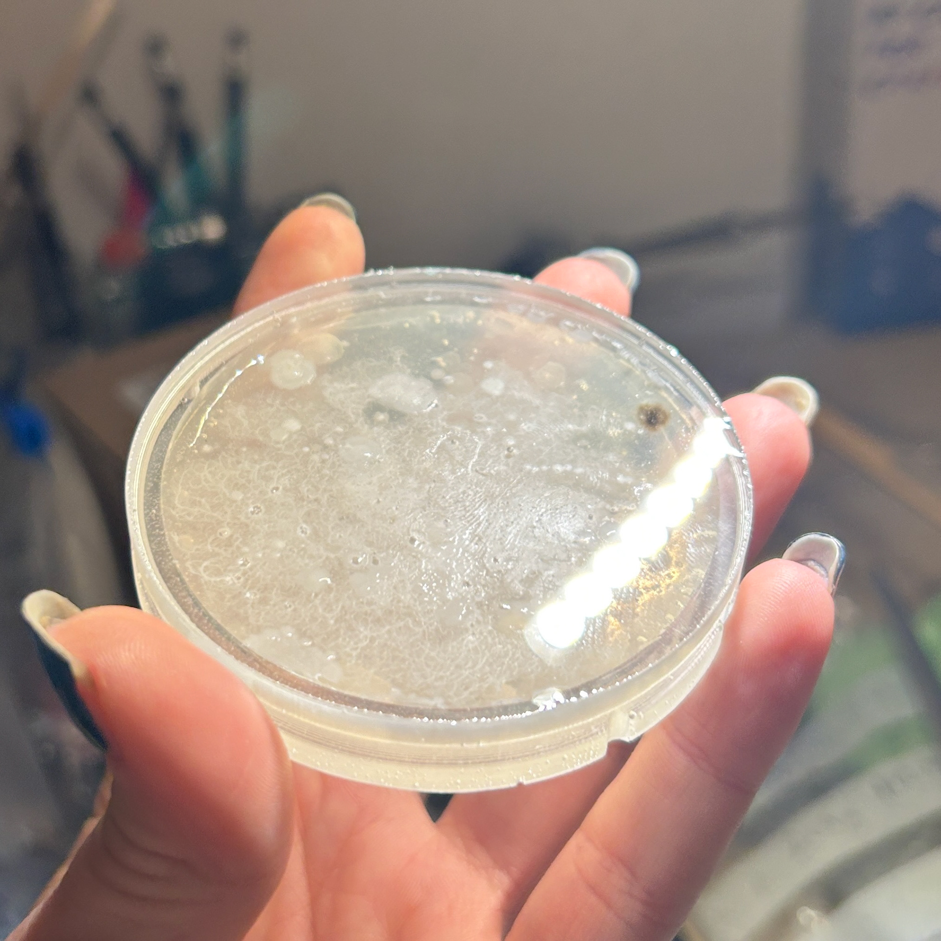 Checking the top of the resin dish