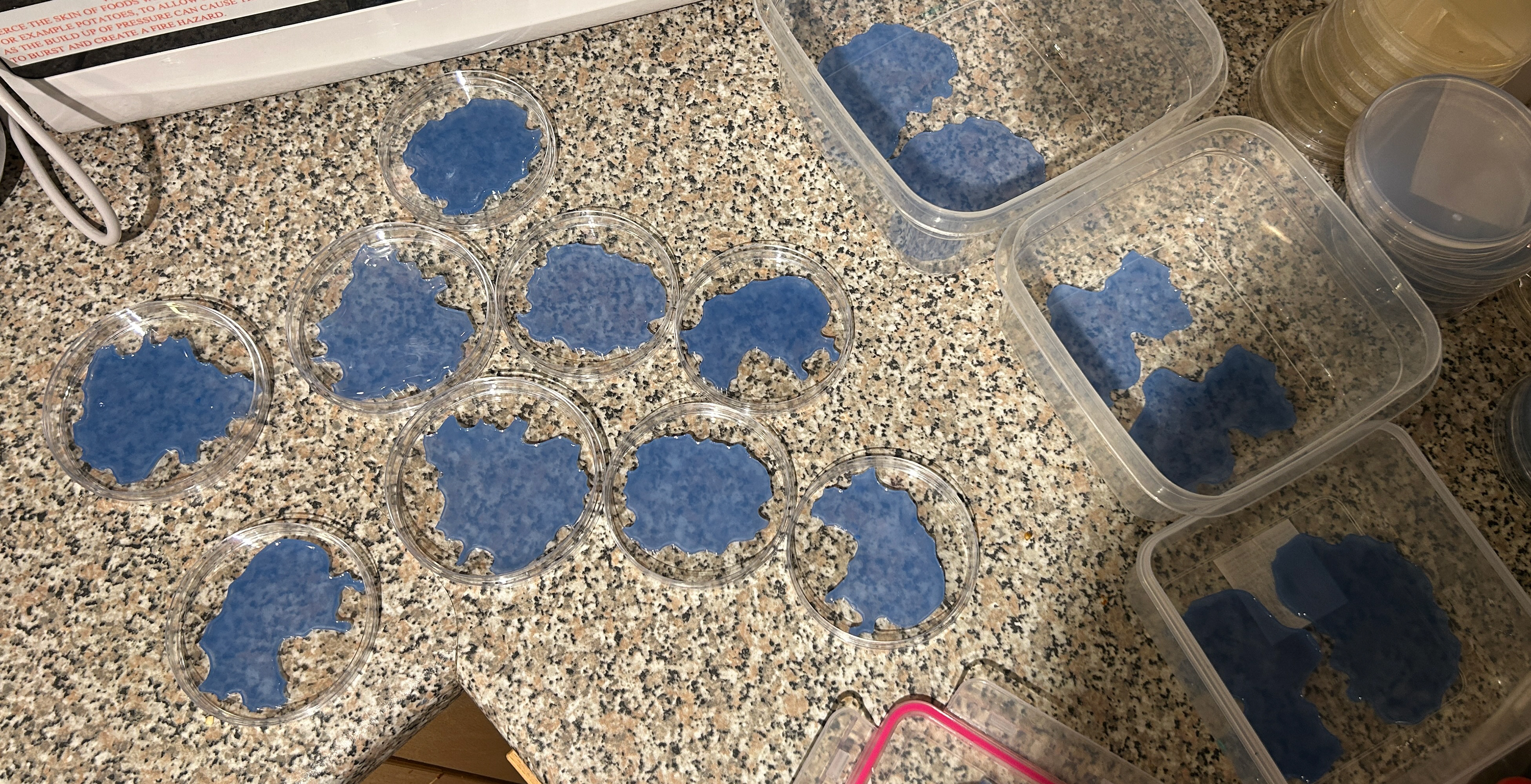Agar in dishes ready to be inoculated