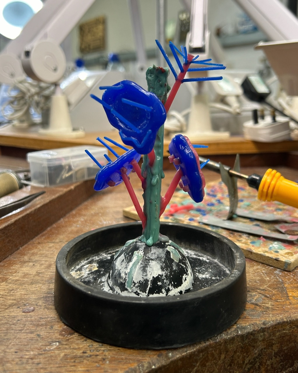 My wax tree