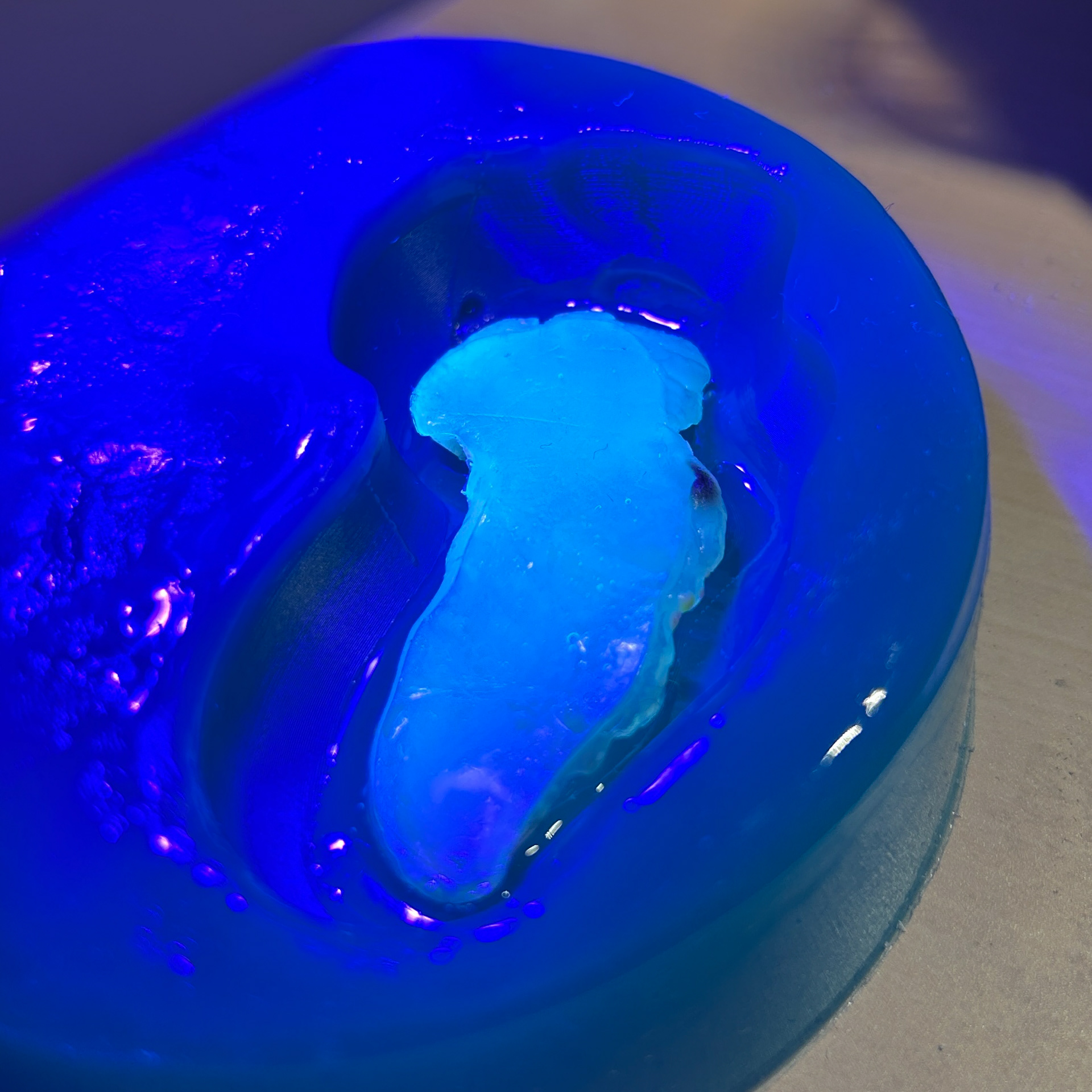 Curing the resin around the agar