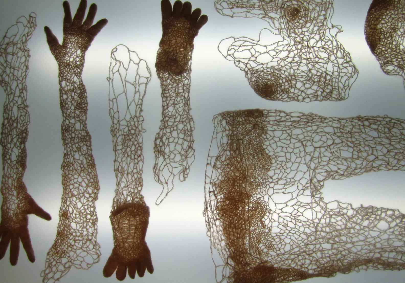 Crocheted Membranes (2008/2009)