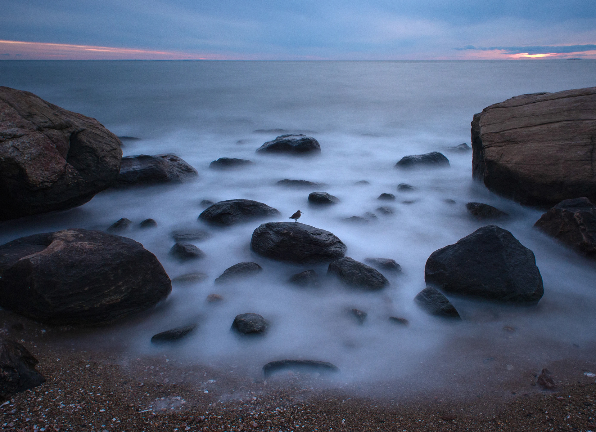 National Audubon Society - Top 100 - 2025