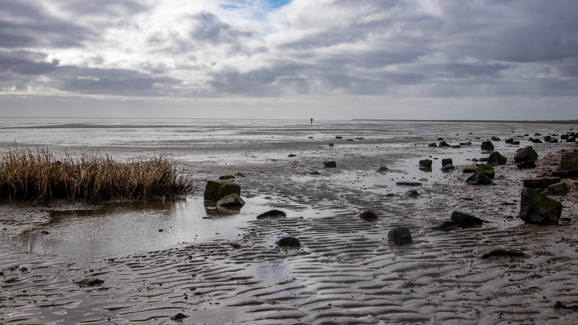 Mooie wolken boven het drooggevallen wad