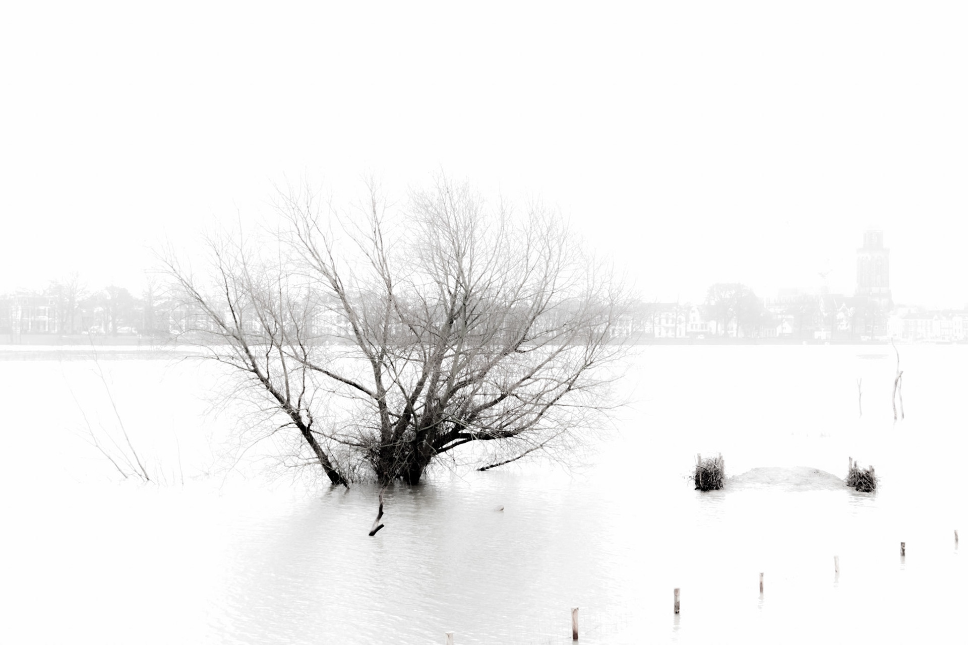 Hoog water in Deventer