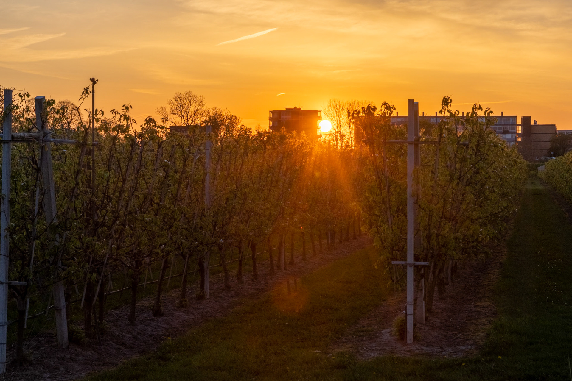 De zon gaat onder