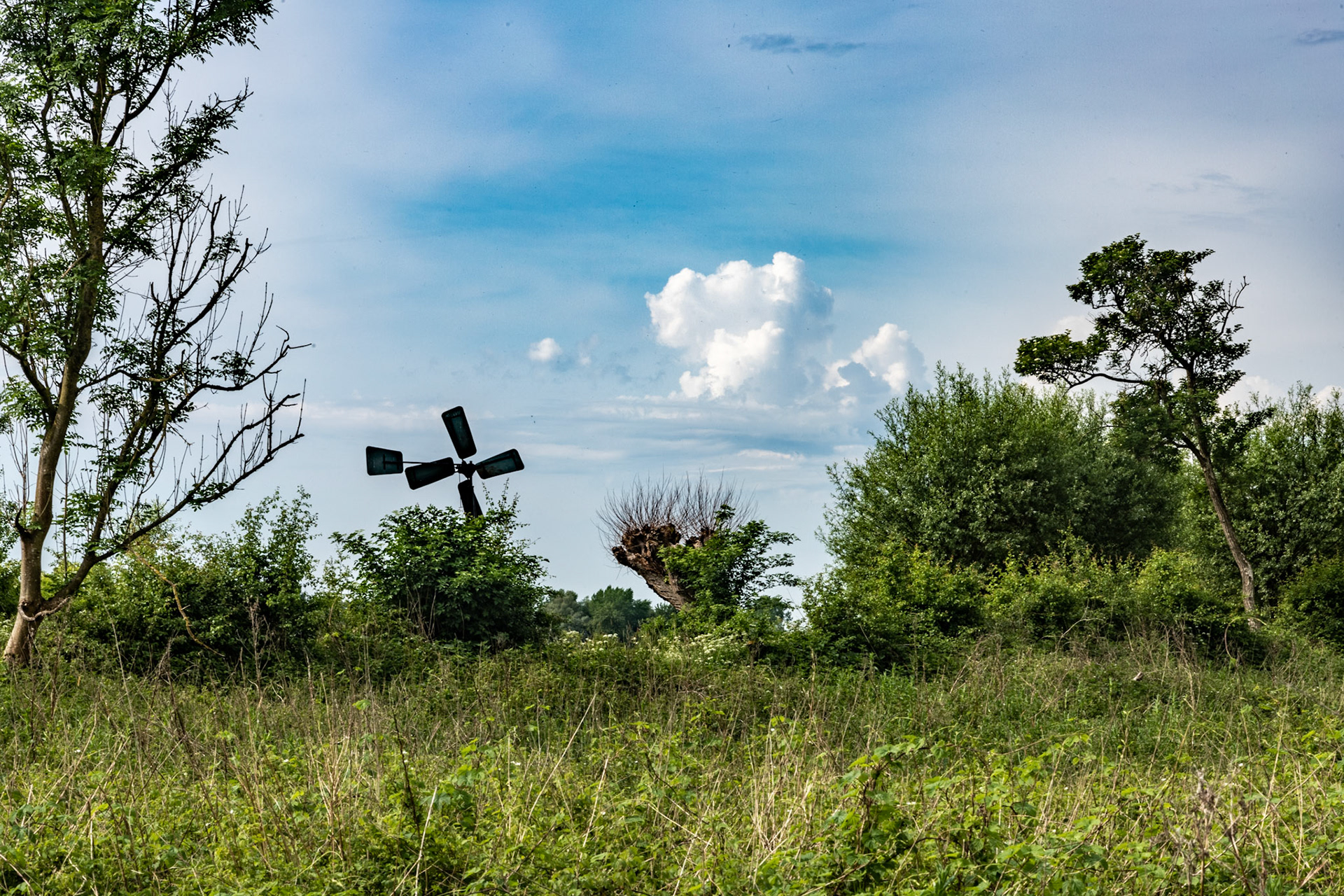 Landschap