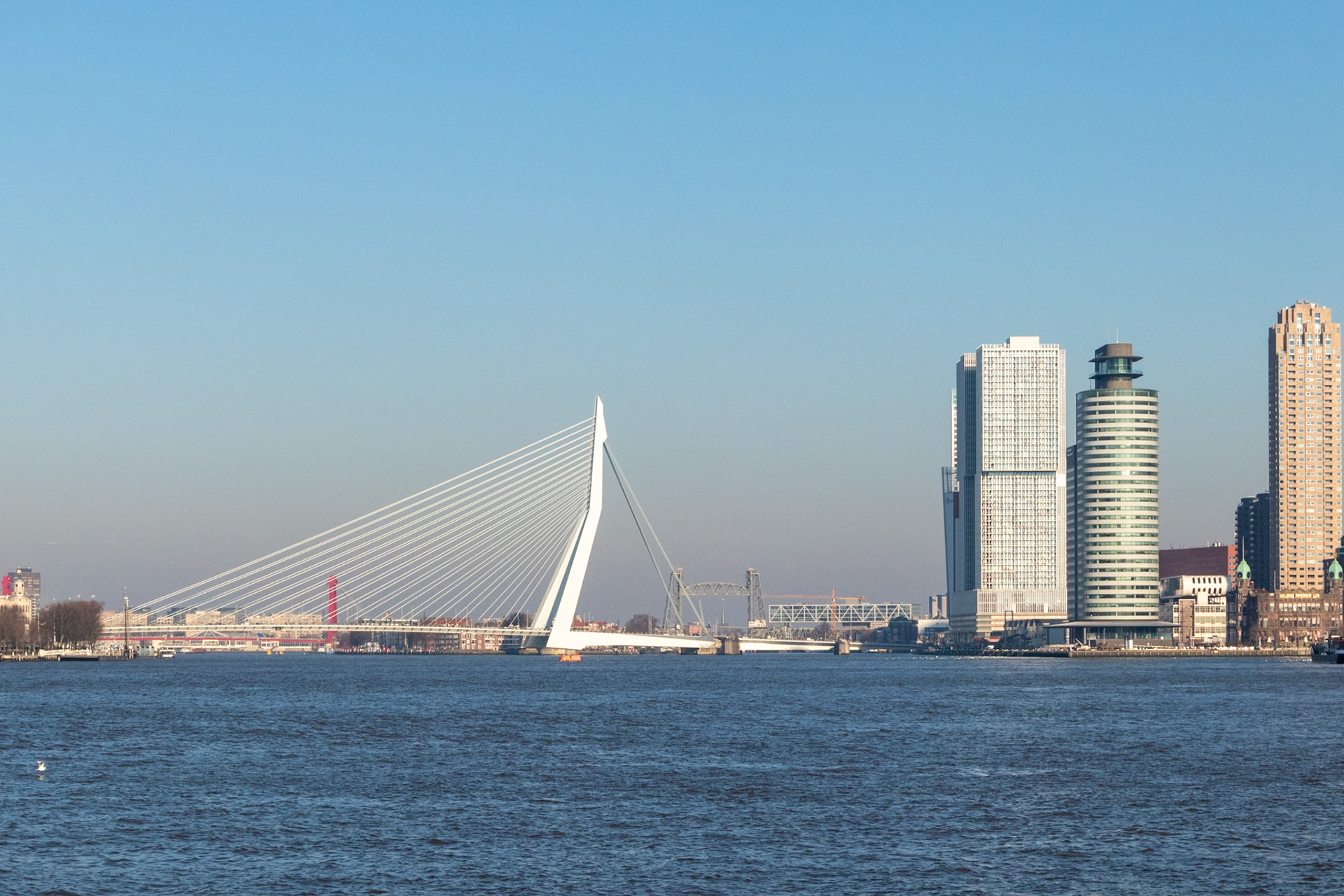 Skyline Rotterdam