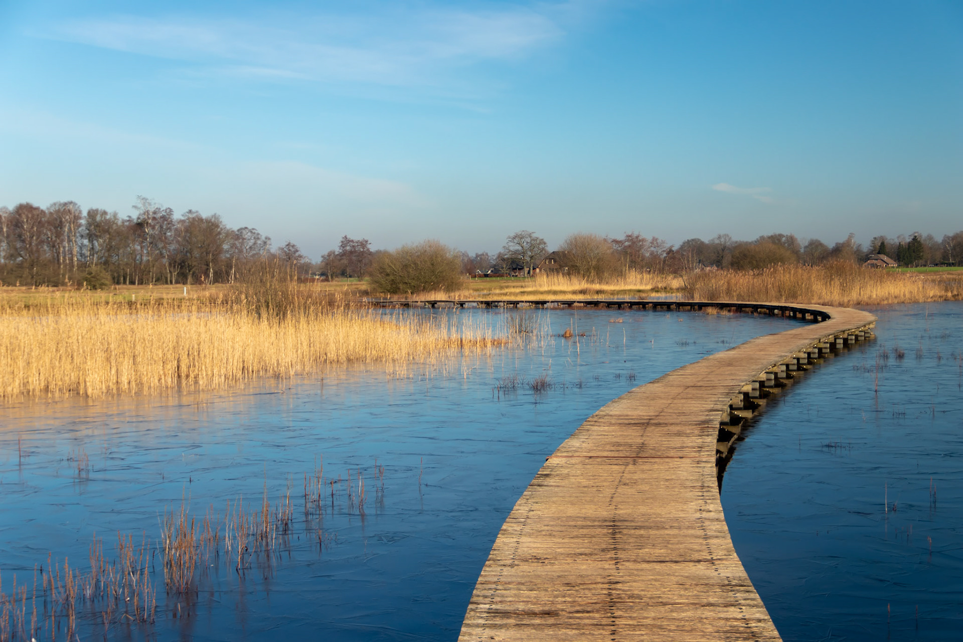 Koude ochtend (Empese en Tondense heide)