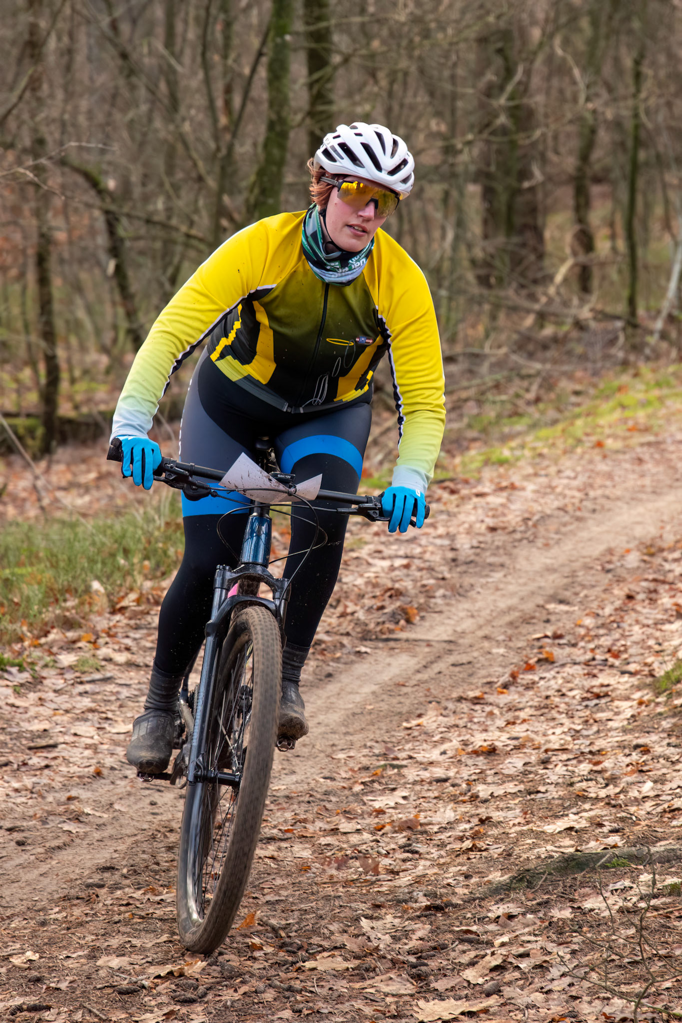 Door de bocht in het bos ...