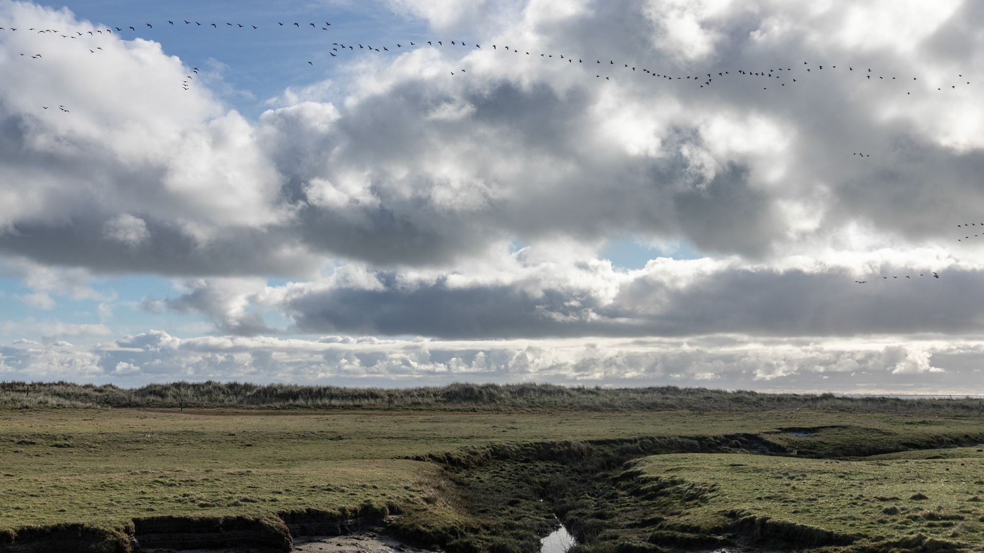Water, wolken en vogels