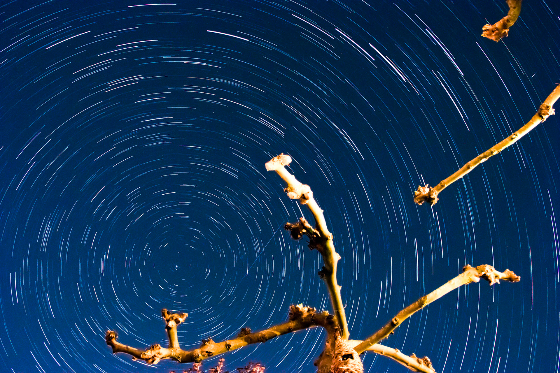 Startrail in de achtertuin