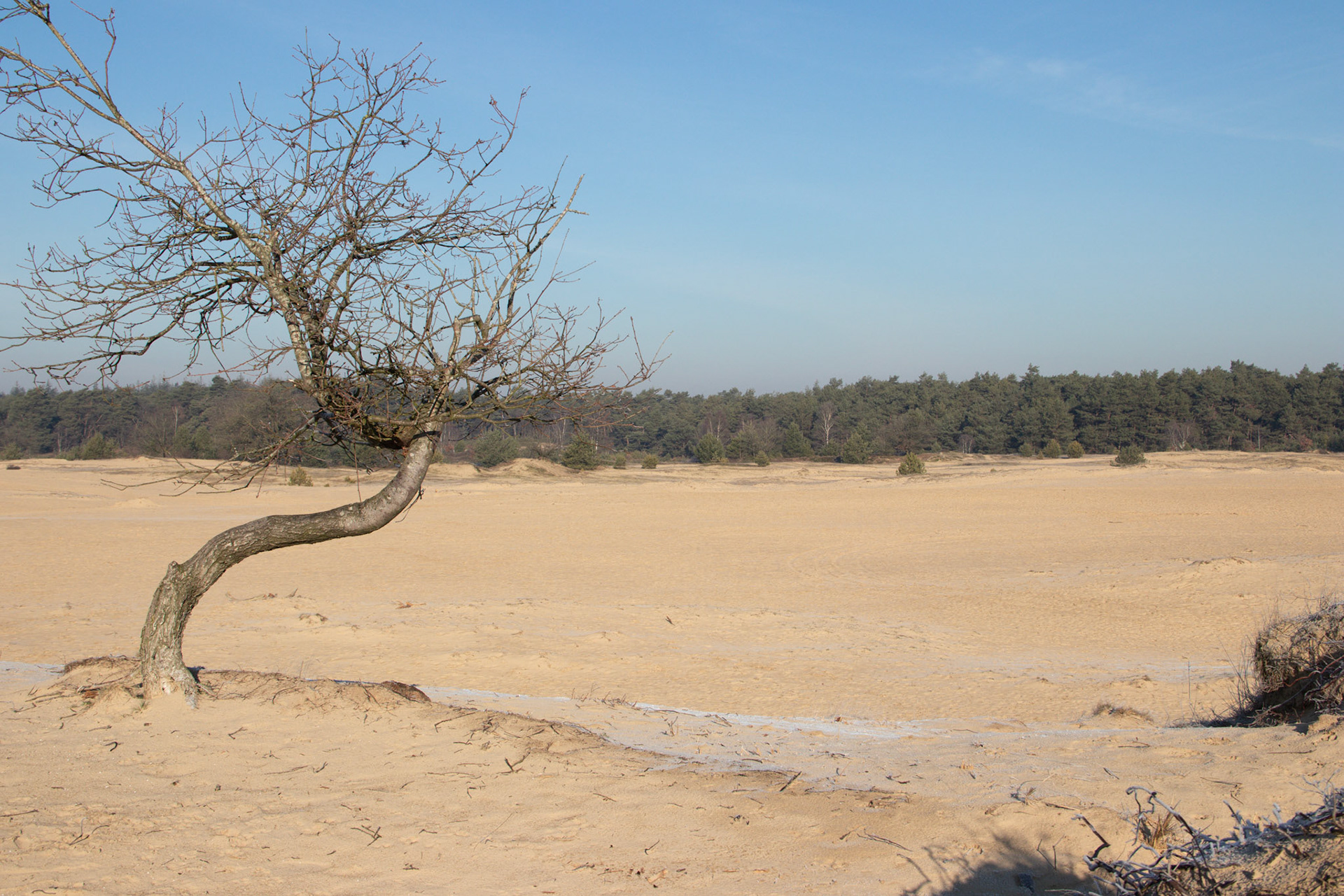 Kootwijkerzand