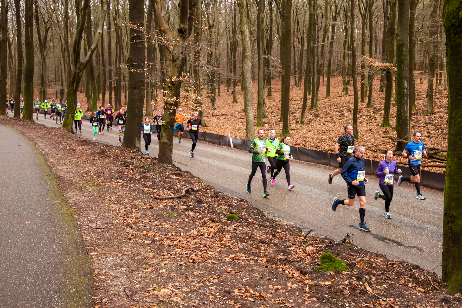 Een prachtig parcours door de bossen bij Hoog Soeren