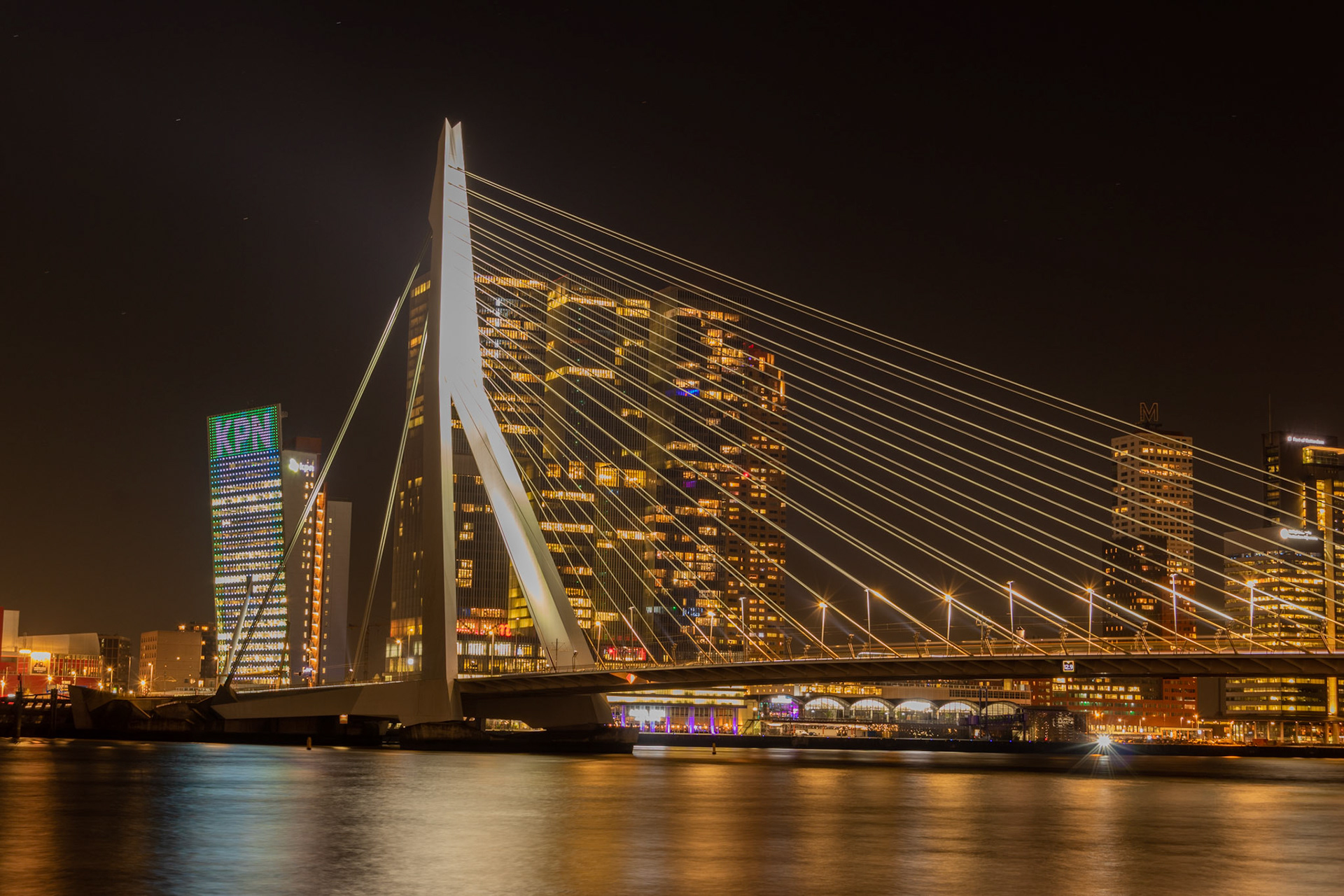 Erasmusbrug en Rotterdam