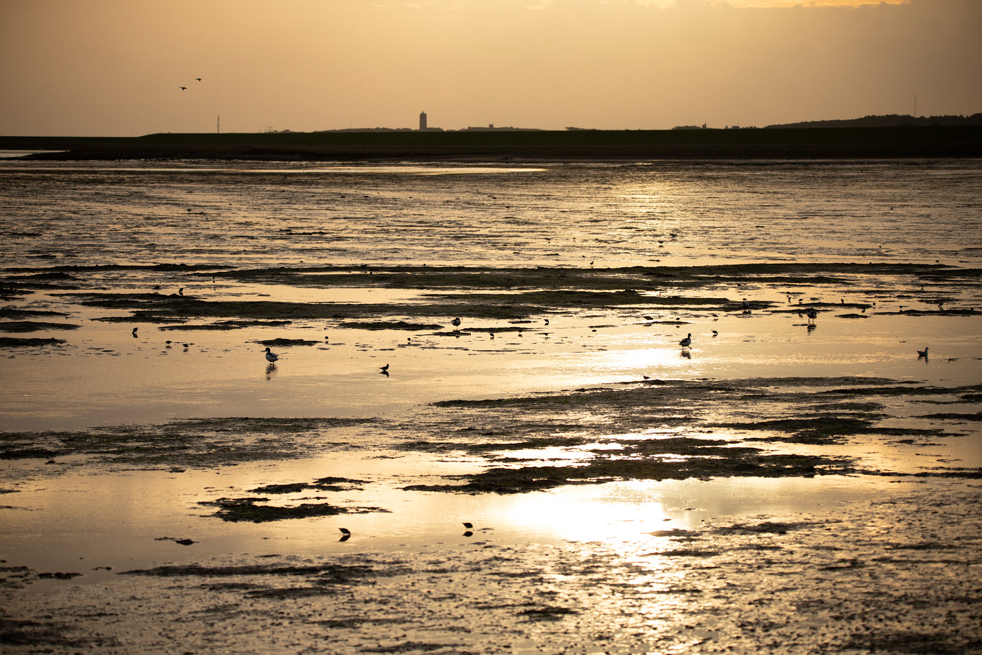 Zonsondergang boven het wad