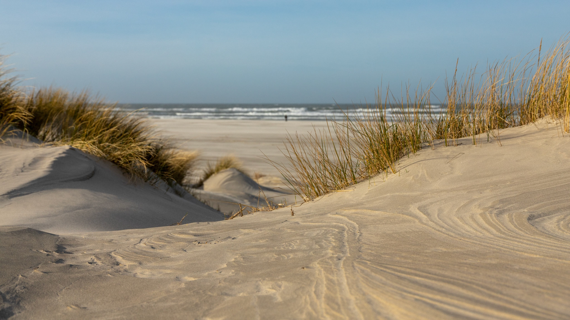 Doorkijkje