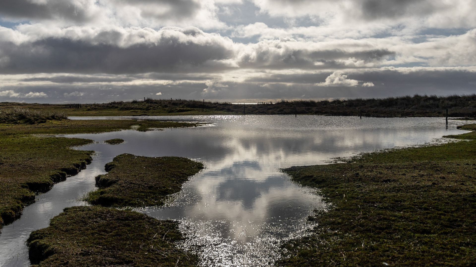 Reflectie in het water