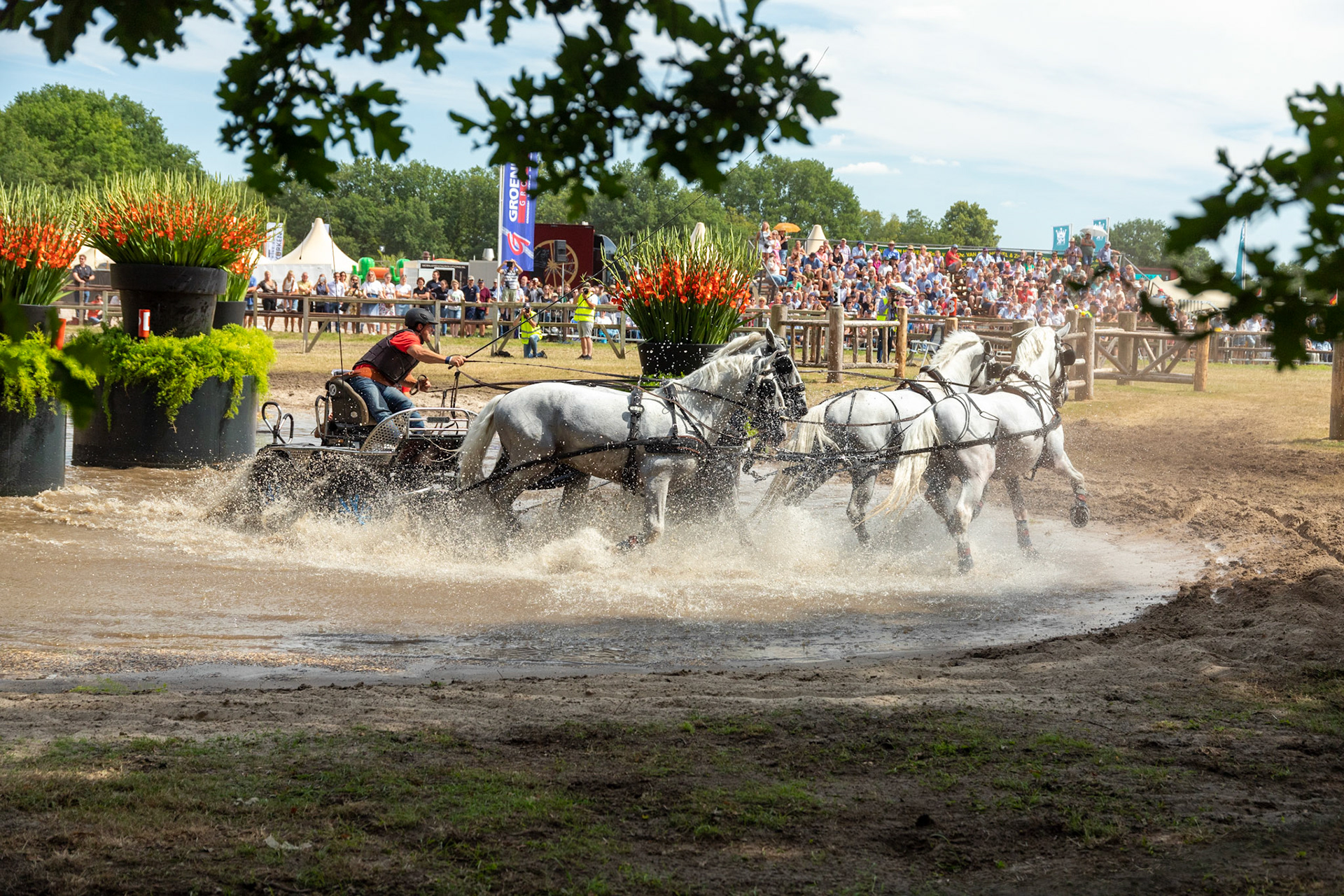 De spectaculaire waterhindernis