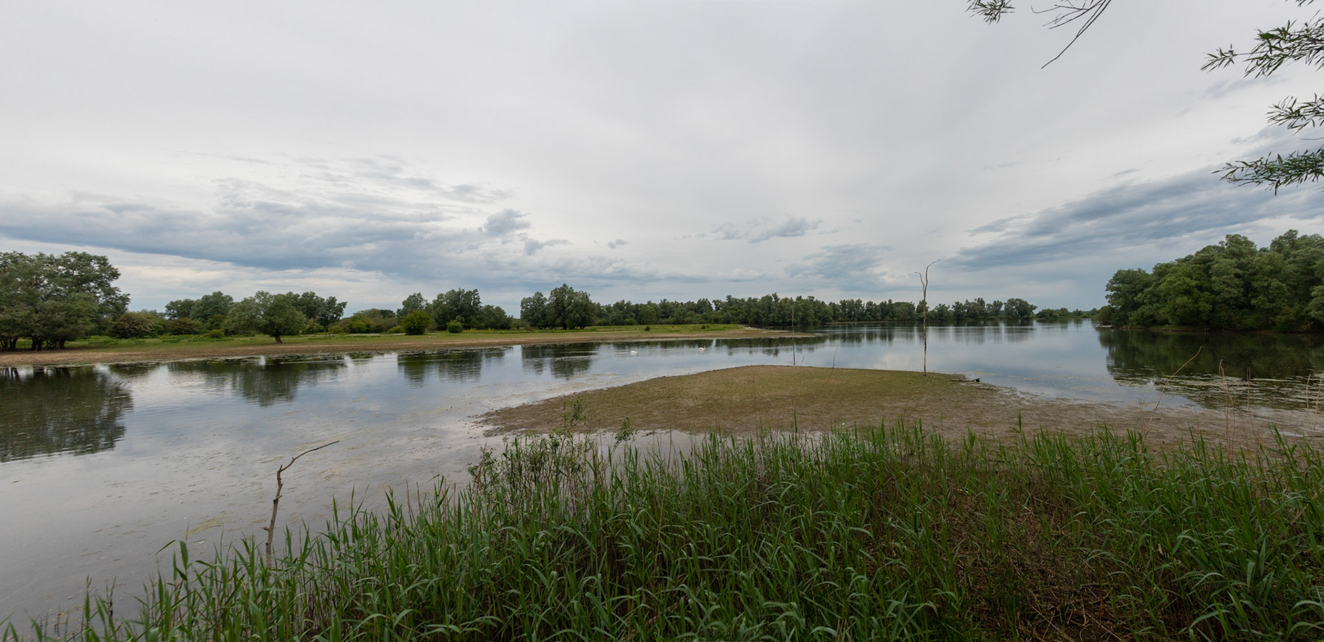 Vanuit de vogelhut
