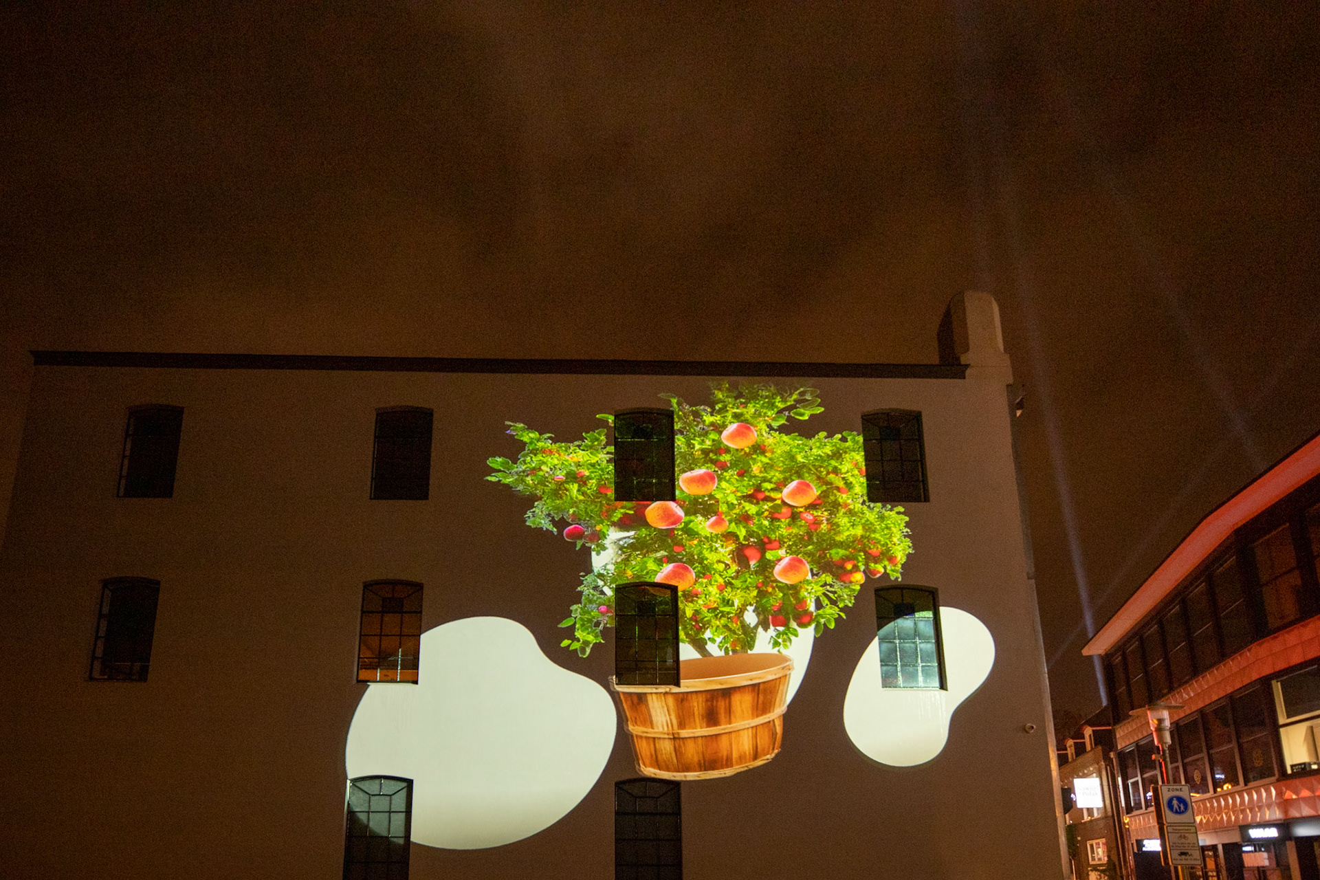 Videoprojectie