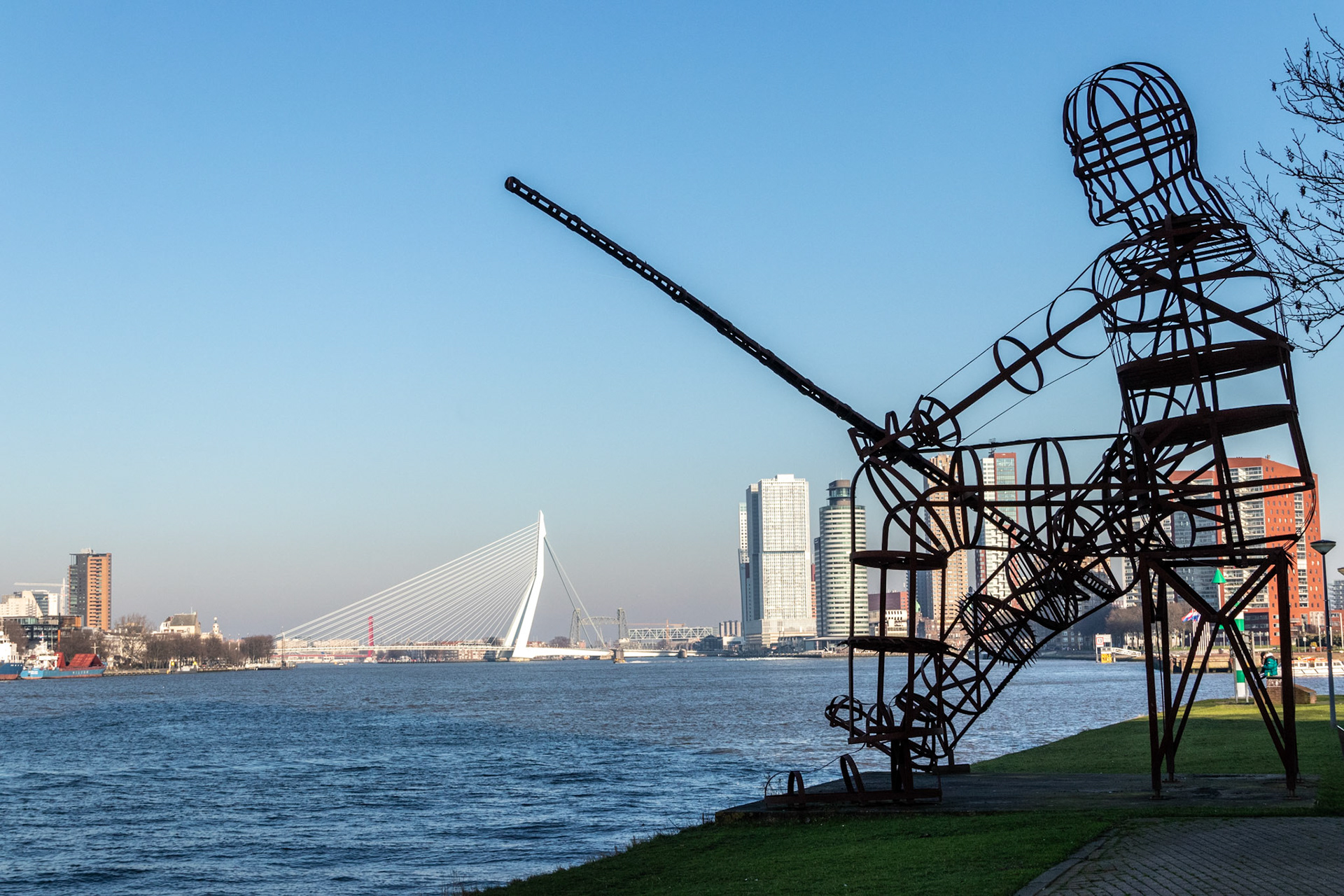Vissen in de Maas (Rotterdam)