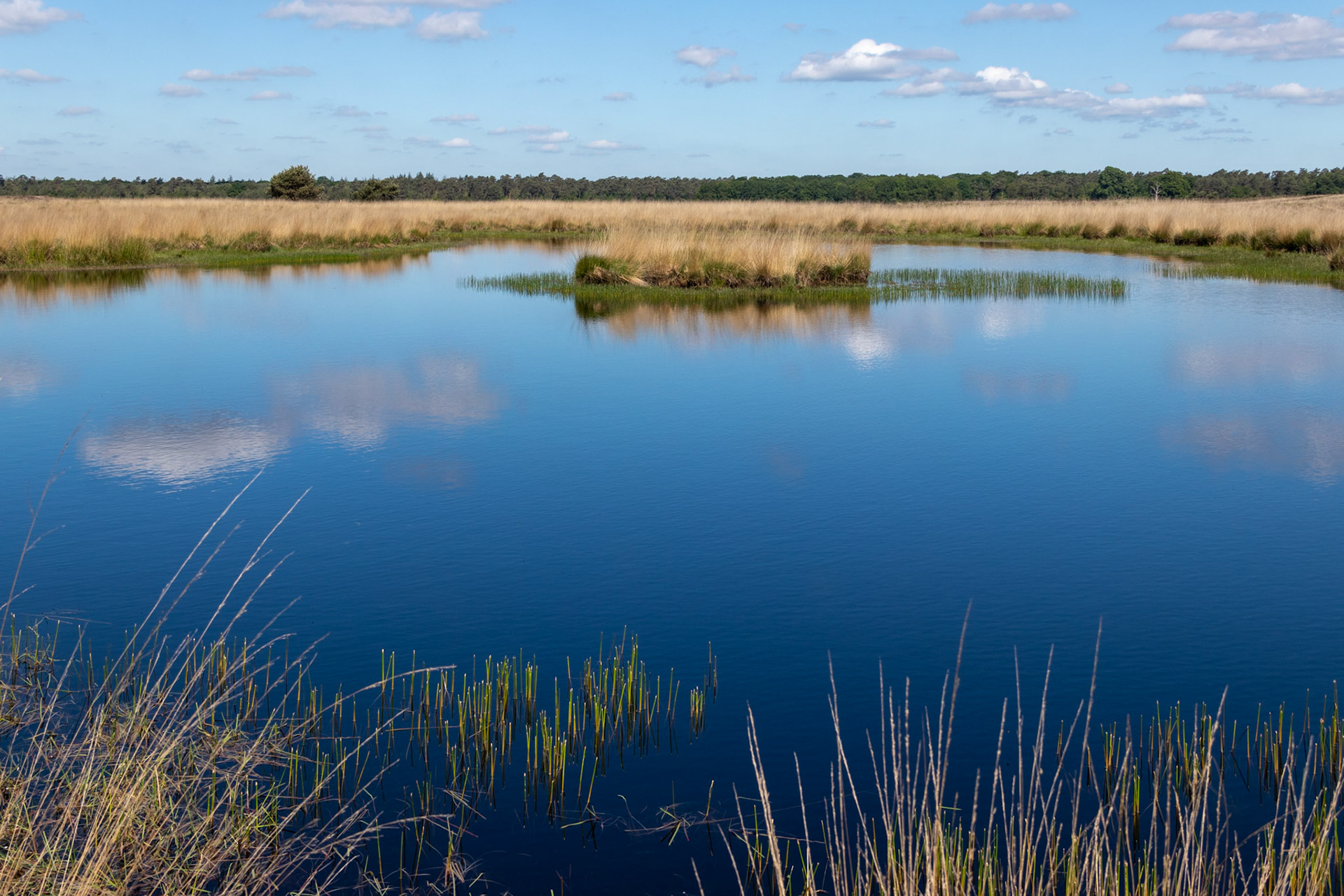 Deelense was (Hoge Veluwe)