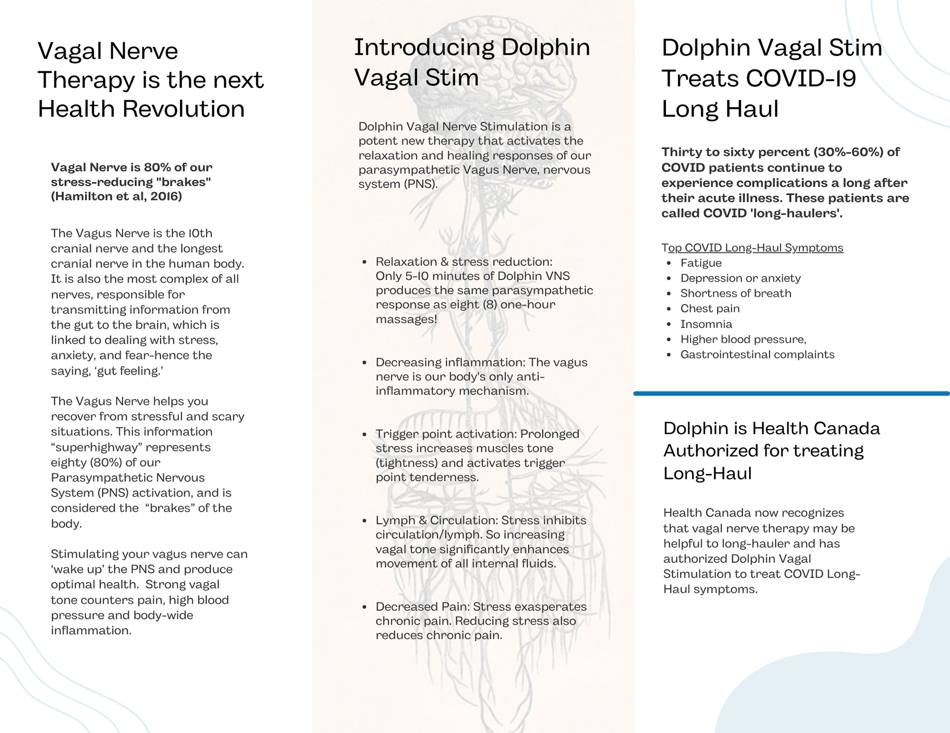 Dolphin Vagal Stim Brochure (2)